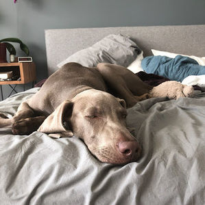 Meet your Posher, Arianna